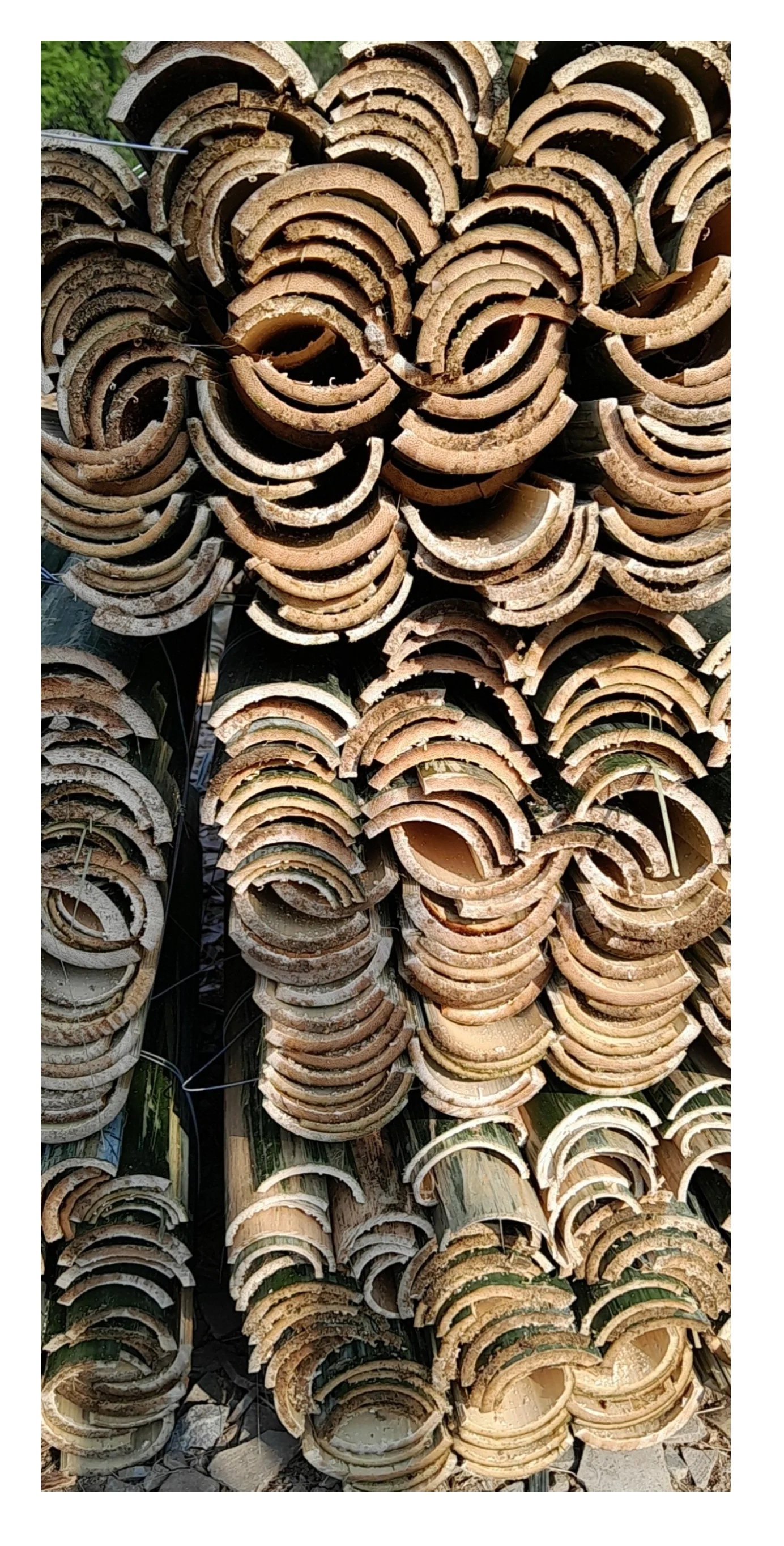 Quality Bamboo Export In Bulk With Competitive In The Market/ Split Half Cut Bamboo Poles Natural Materials Cheap Price