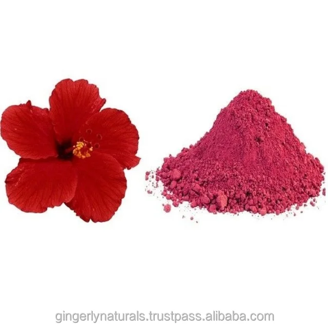 Поставщик 100% чистого и натурального порошка Hibiscus Rosa Sinensis из Индии