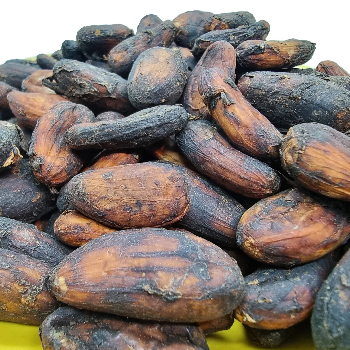 High Quality Cocoa Beans Dried Roasted Cacao Beans Chocolate Beans Natural Premium Made in Brazil