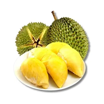 Monthong Durian So Fresh Premium Quality Fresh King Fruit Durian Wholesale Price