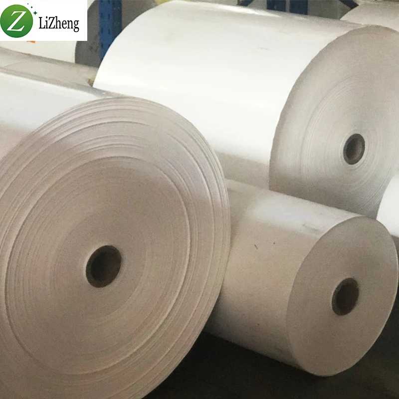 Lizheng non-tearable waterproof inkjet matt gloss 70/80 gsm paper jumbo roll pp synthetic paper jumbo