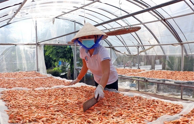 CHEAP CHEAP PRICE FROM OUR FACTORY DRIED SHRIMP FOR WHOLESALE NEEDED