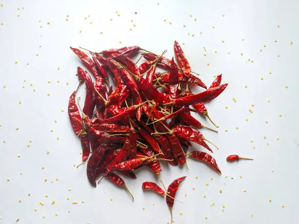 Hot Spicy Wholesale Price Dry Hot Red Chili Teja S17 Original Guntur guntoor Red Dry Chilli