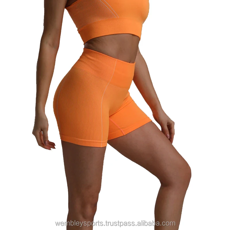 Quick Dry Women Gym Shorts Sport Biker Shorts Women High Waisted Short Leggings Ladies Biker Workout Shorts