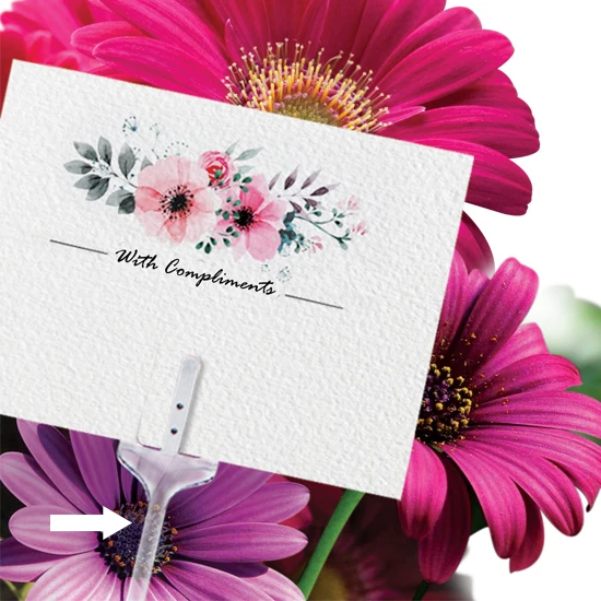 Best Price Flower Card Holder Stick For Wish Cards Bouquet Bouquet Card Insert Flower Packaging Material Florists Articles
