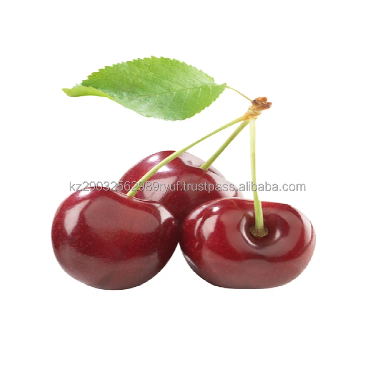 Direct selling juicy cherry contains organic acids - folic pantothenic macro and microelements potassium
