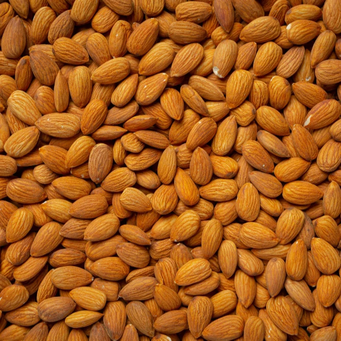 ALMONDS DELICIOUS PREMIUM QUALITY TURKEY WHOLESALE ROASTED SALTY ALMOND Grade a Almond Nuts AGROWELL TURKISH GOODS