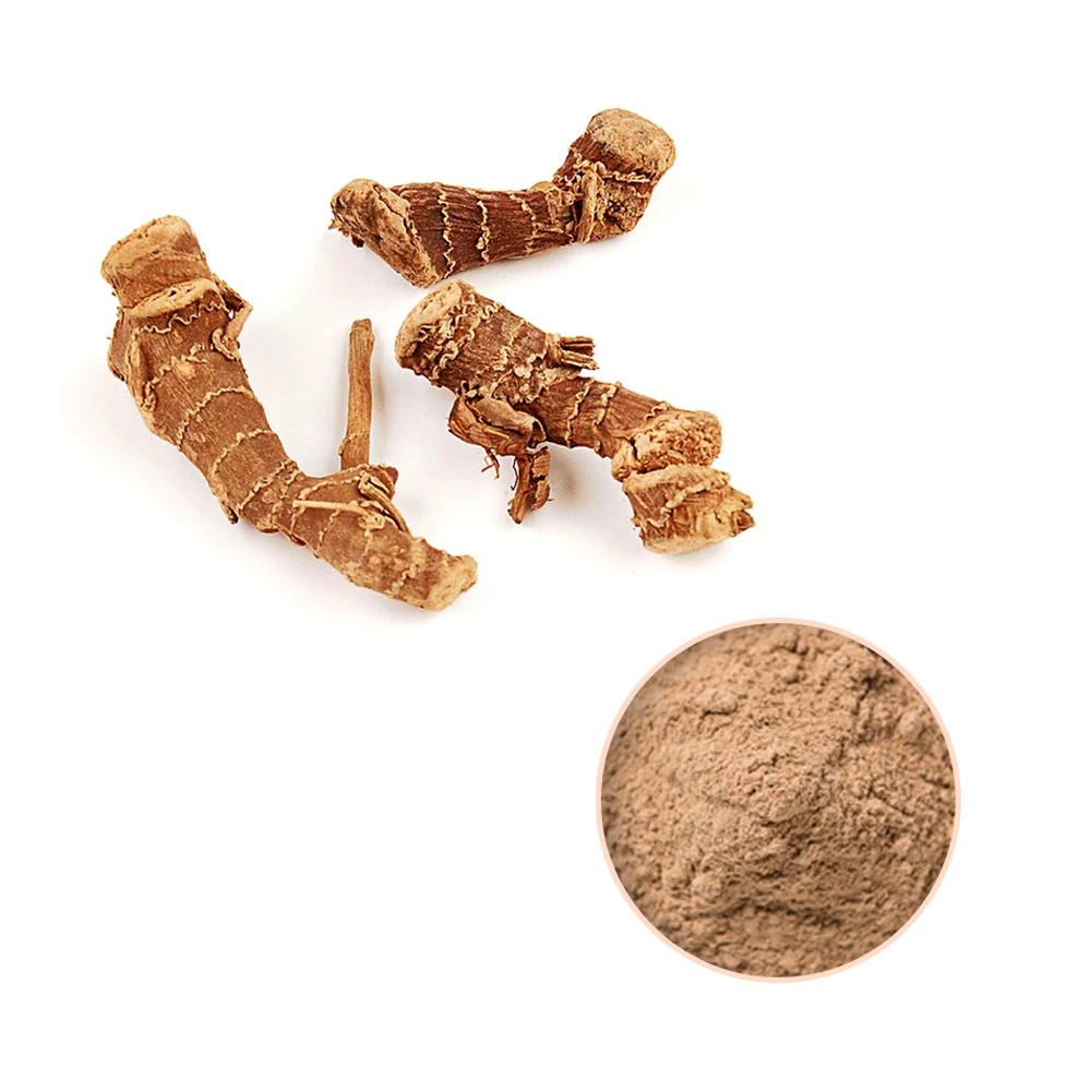 Best Selling Product Galangal Powder Alpinia Galanga Thai Ginger Powder Exporter