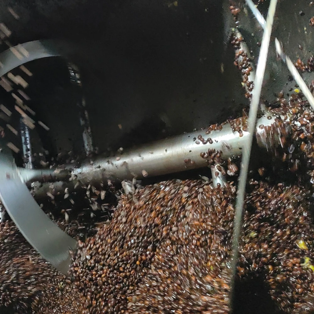 wholesale coffee beans  Robusta Roasted Coffee Beans Wholesale OEM/ODM Service vietnam coffee beans Vietnam Packing In Box