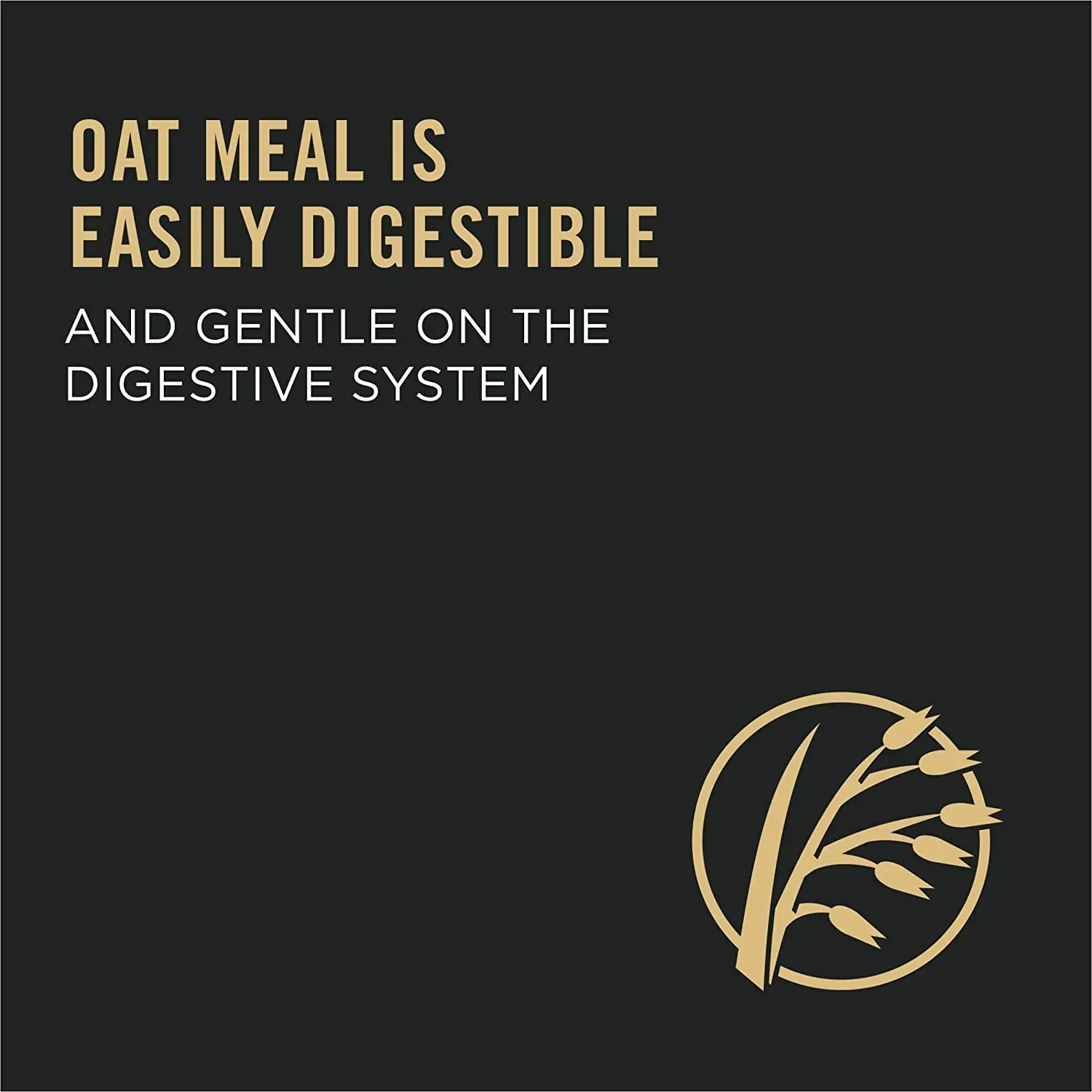 buy bulk Salmon & Rice Formula Purina Pro Sensitive Skin and Stomach Dog Food With Probiotics for Dogs