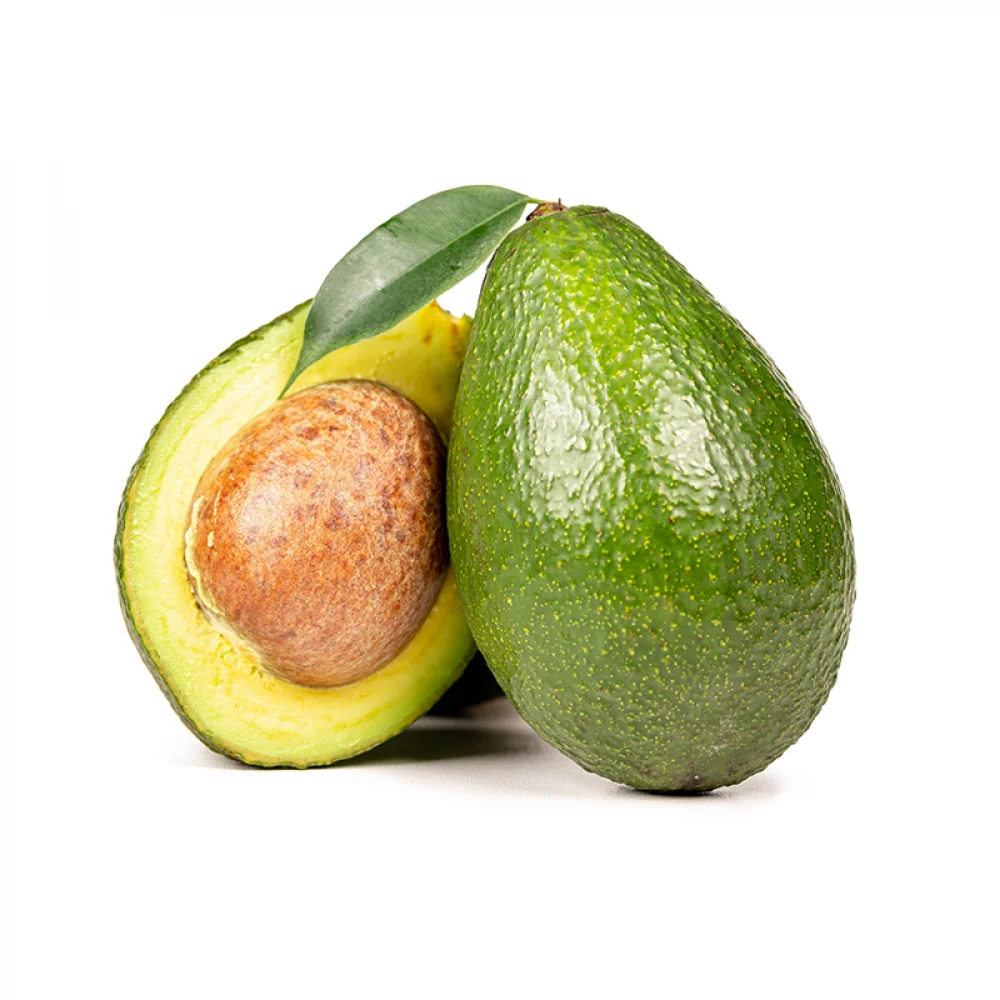 Quality Fresh avocado Fast Shipping with carton high quality avocado/Fresh Avocado for sale