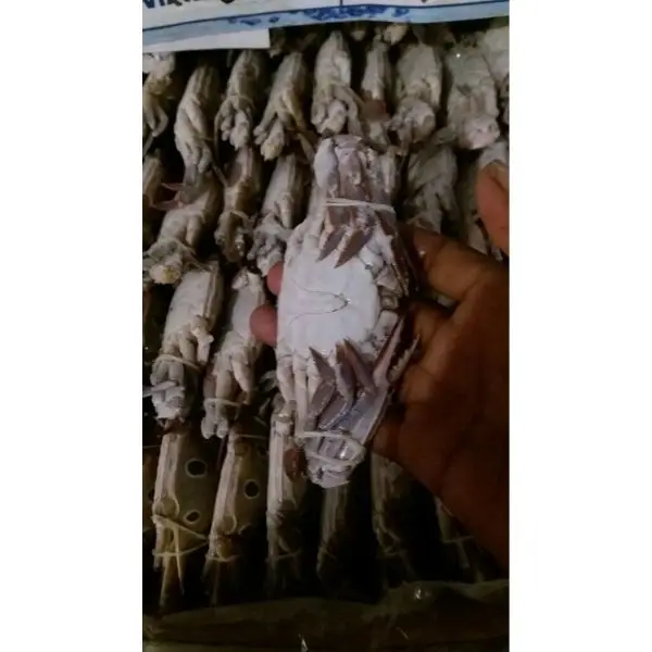 Frozen Crab For Sale/Bulk Blue Crab Frozen Three Spotted Crab