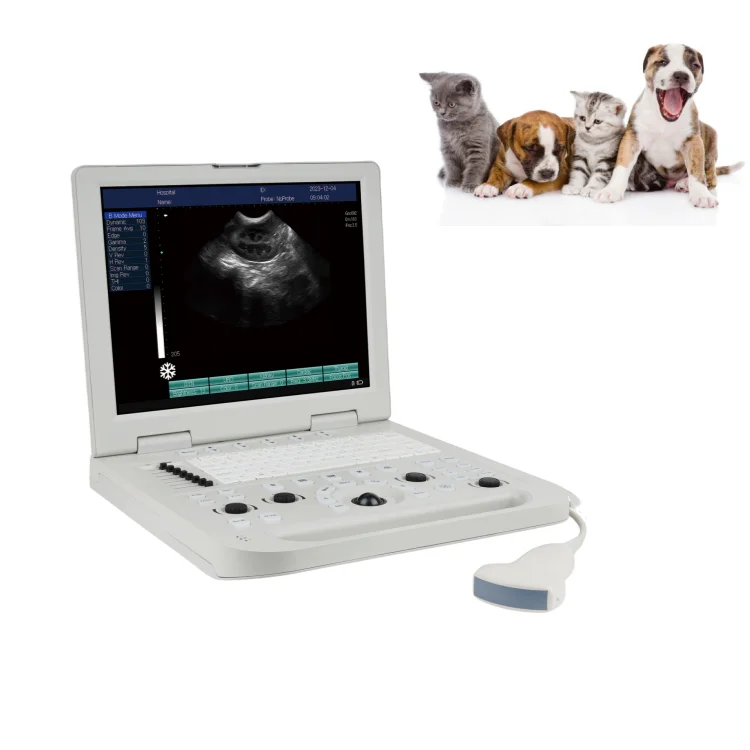Black and white ultrasound laptop for pets with keyboard backlight High-end ultrasound machine 5 probes to choose from