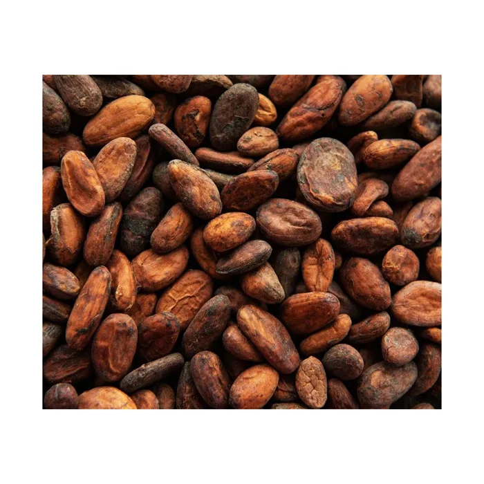 Wholesale Supplier Cocoa Beans For Sale In Reasonable Price