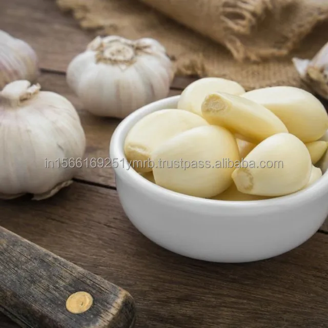 Garlic Healthy Raw Materials Organic Fresh Garlic
