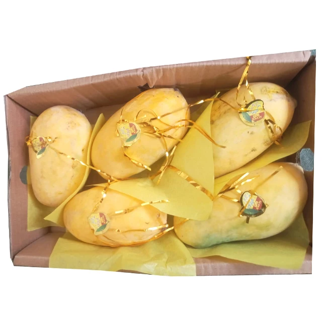 Pakistani Top different types of  Mangoes  at wholesale prices