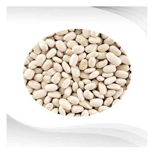 Wholesale Supplier Of Bulk Fresh Stock of Organic Dried White Kidney Beans