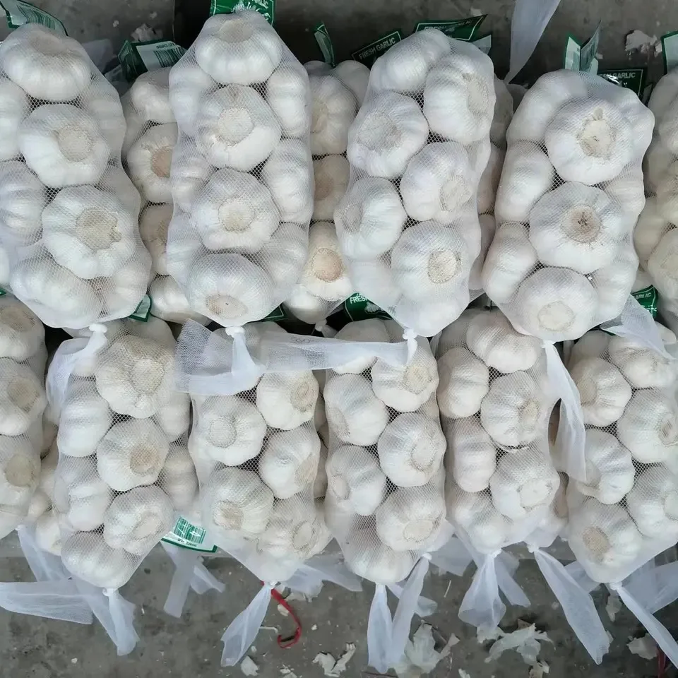 Wholesale Fresh Garlic Supplier | Red & White Garlic | Chinese Garlic Bulk