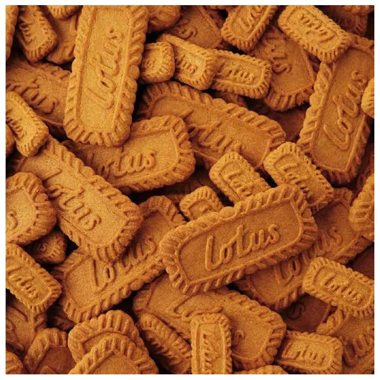 Buy Lotus Cookies and Creamy - Lotus Crema Biscoff Biscuits Spread Smooth Cream 400g FOR SALE top quality
