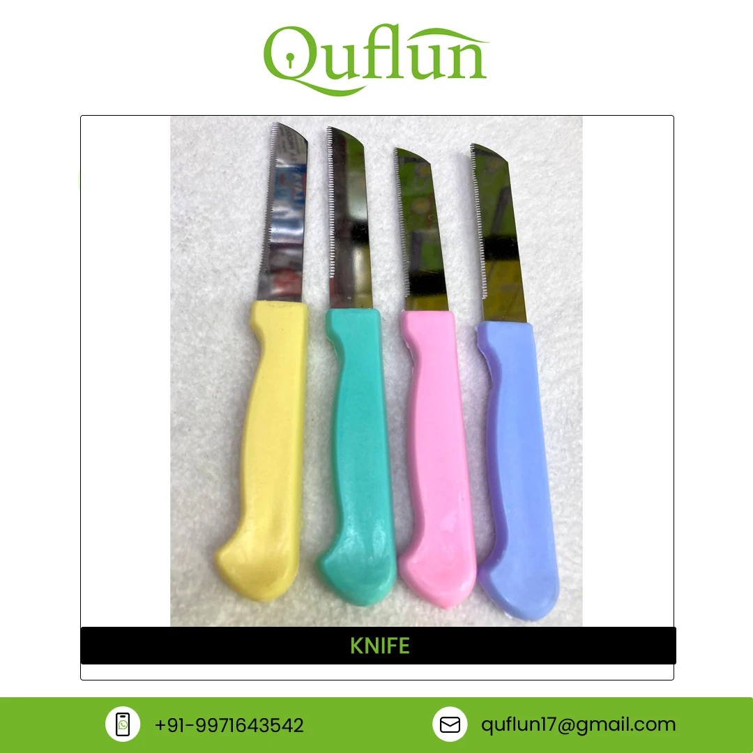 Made In India High Quality Knife Plastic Handle Material Stainless Steel Blade Kitchen Knives for Vegetable and Fruit Cutting