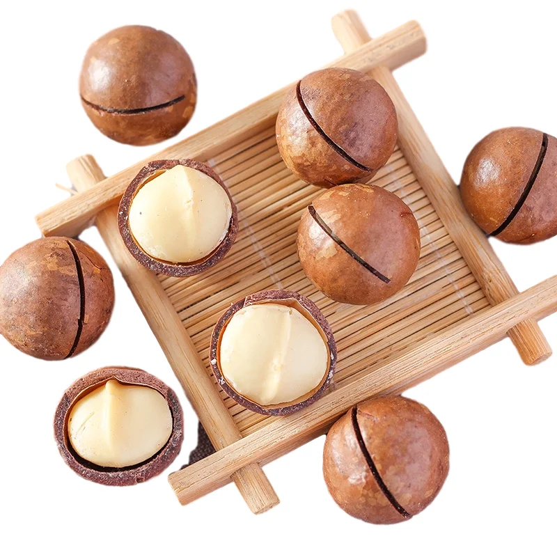 Bulk Sale Macadamia Kernels At best Price Of Macadamia Nuts Without Shell macadamia nuts