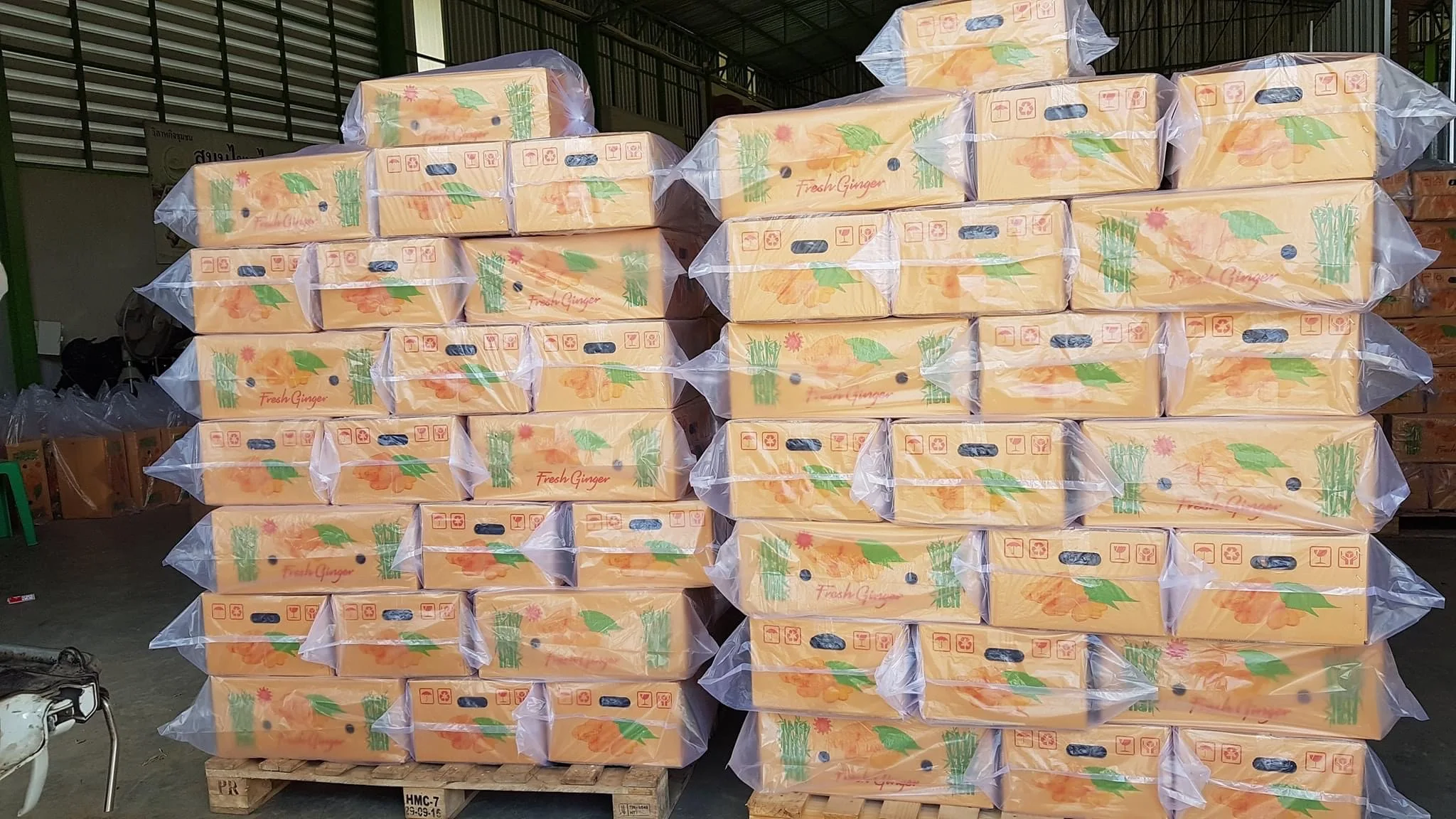 Premium Fresh Ginger High Quality Thai Vegetable from Thailand  Hight Grade Fresh Ginger in Carton