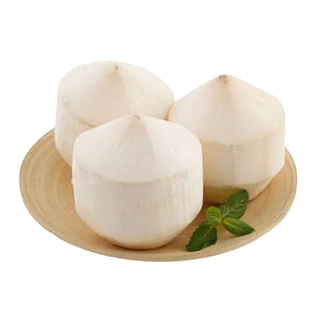 Young Coconut from Vietnam Premium Diamond Tropical OEM Sweet Style Customization Packaging