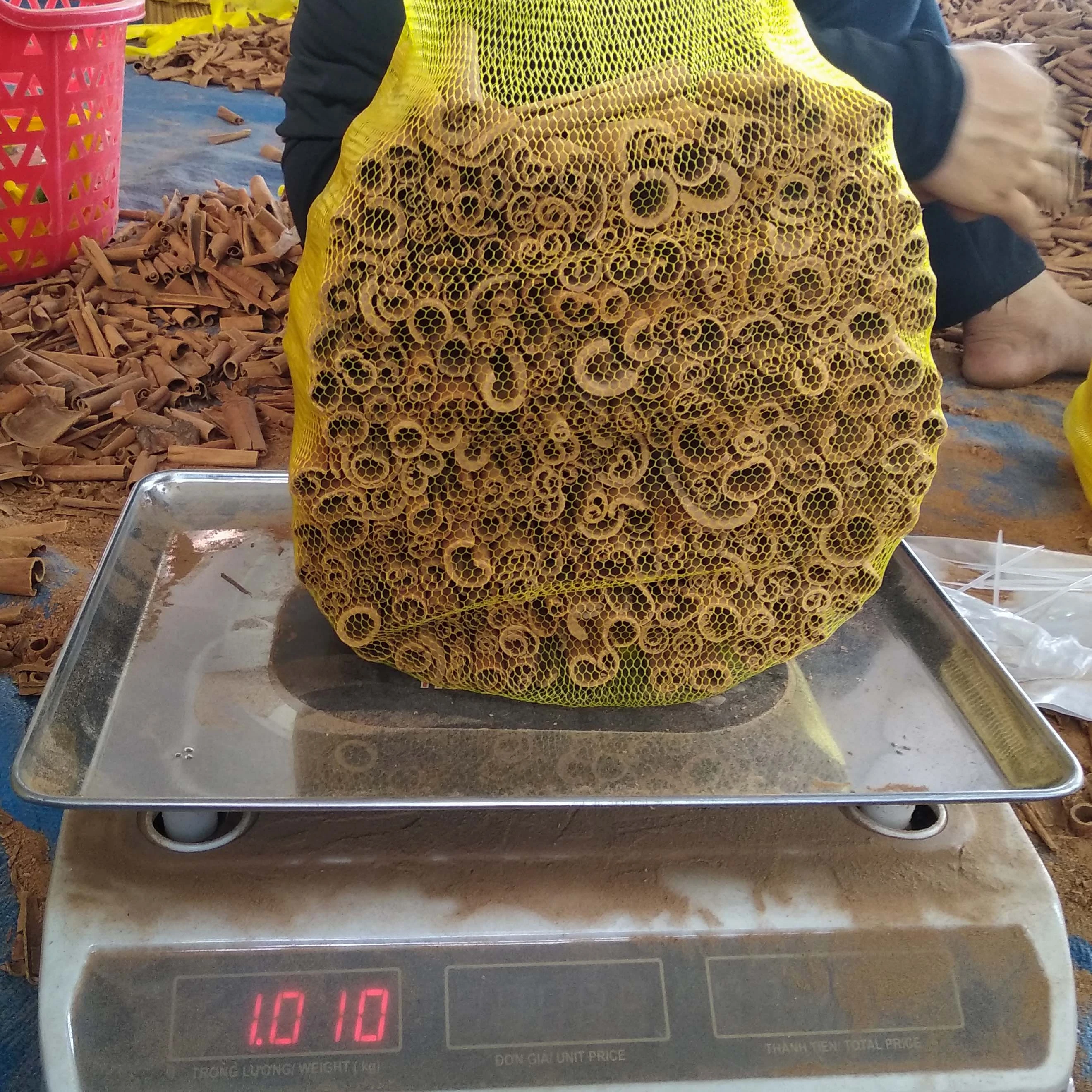 Cigarette Cassia - High Quality Vietnam Cassia Cinnamon Dried Style Customizable - Herbs & Spices at a Good Price