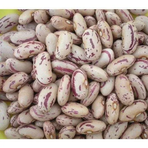Top Sponsor Listingred Kidney Bean Red Kidney Beans 2022 Crop Dry Canned British white Beans