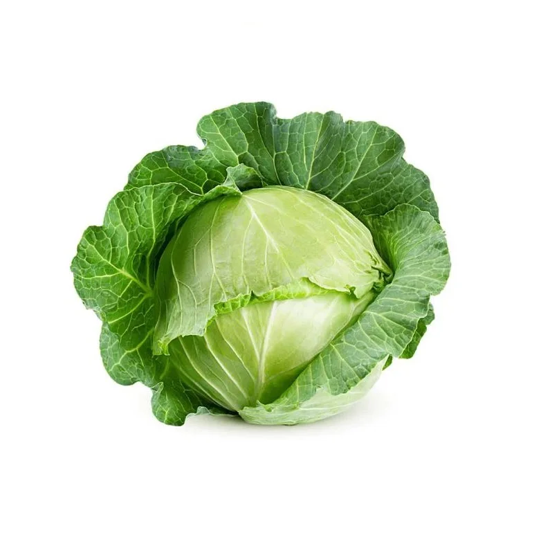 Competitive Price Organic Cabbage Style Piece Weight Origin Type Variety Product Fresh Place Model Cultivation From Bangladesh