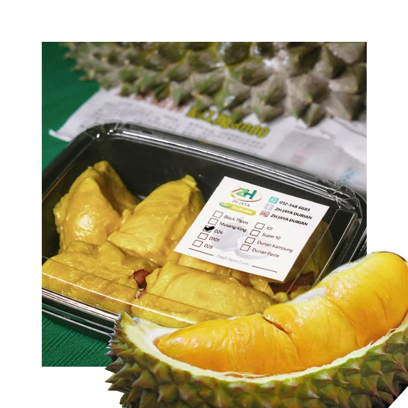 Wholesales Supplier Malaysia Fresh D24 Durian (Frozen Pulp) with Creamy Texture and Bittersweet Taste