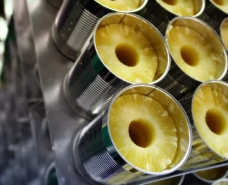 Вьетнамские фрукты С Консервированным ананасом-новое поступление консервированный ломтик ананаса в сиропе для экспорта/Mr.Lucas