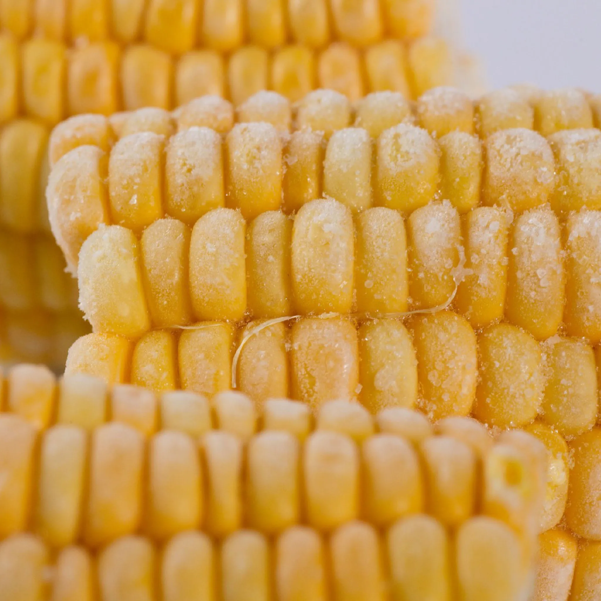 Frozen Corn Delightful Wholesale Agriculture Global Export From Vietnam VI HUYNH