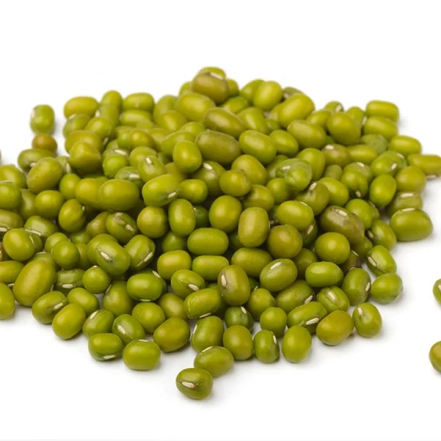 Premium quality food grade vigna beans green mung beans for human consumption