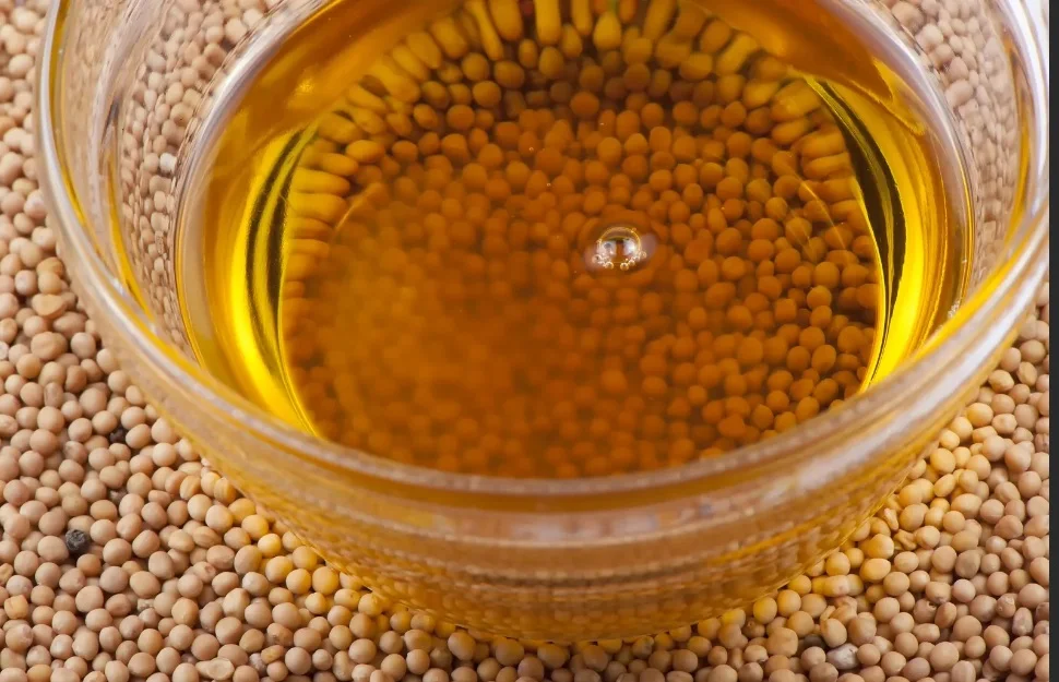 MUSTARD OIL 100% organic Omega-6 source / food grade pure cold-pressed mustard seeds oil for cooking and cosmetics