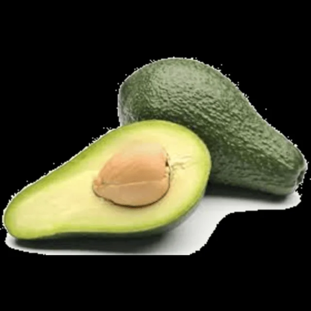 Fresh Avocado / Hass Avocado, Fuerte Avocado For Sale