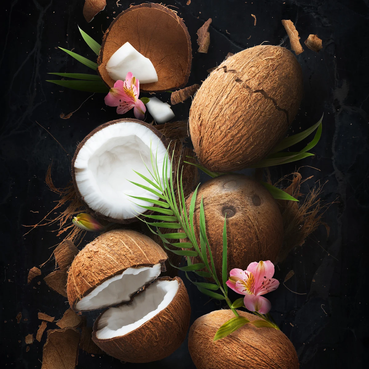 Hot Sale Fragrance Mist Coconut Passion NOIR  Made in Turkey Private Label Available Wholesale