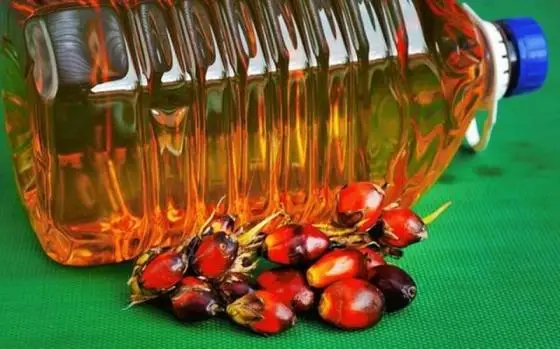 High Quality Refined & Crude Red Palm Oil /Palm Nuts oil/ Refined Palm Vegetable Cooking Oil for Sale