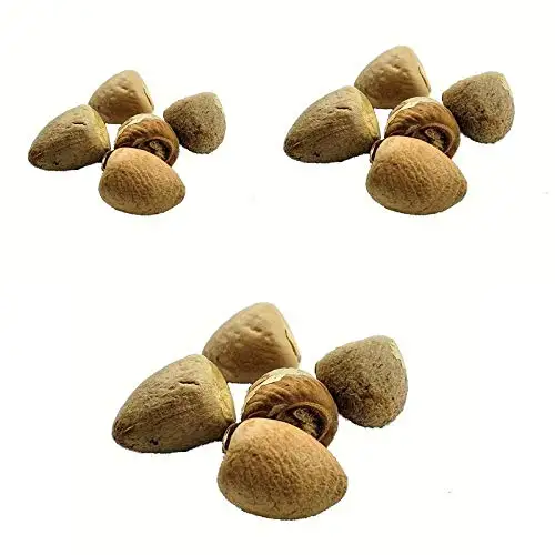 High Quality Betel Nuts (Whole & Split) Best Price for sale
