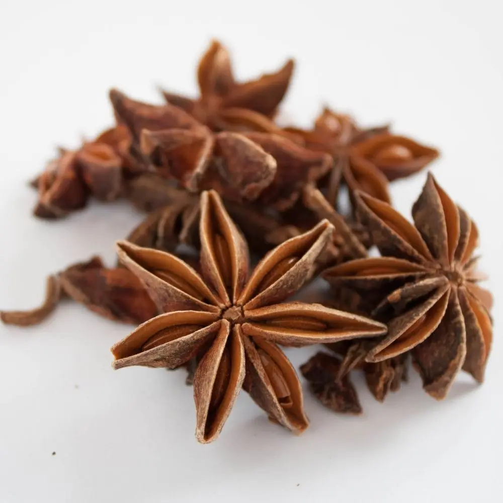 Import export star aniseed popular star anise seeds spices anise flower