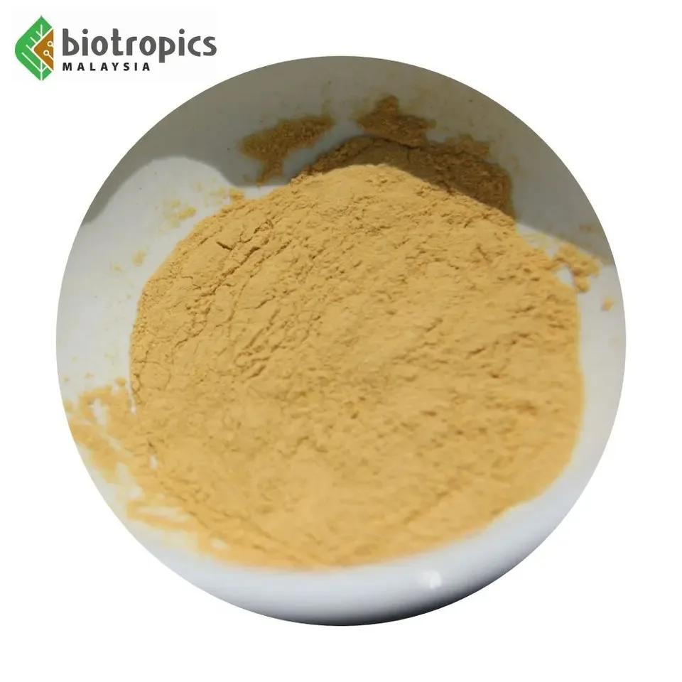 New Ingredient Herbal Plant Malaysia Tongkat Ali Root Extract Powder Eurycoma Longifolia for Food and Drinks