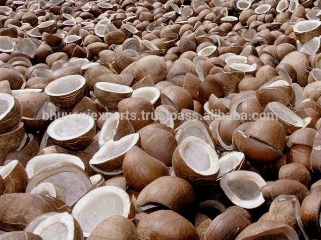 Edible Grade Whole Dried Coconut 100% Natural White Copra Reasonably Priced round Ball Style from India Exporter