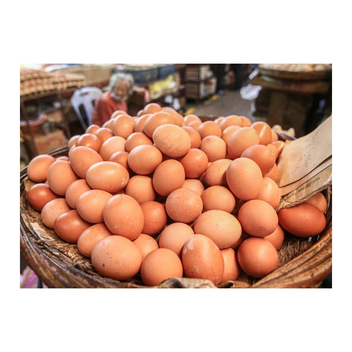 Broiler Hatching Eggs Ross 308 and Cobb 500 Chicken Table Fresh Supplier