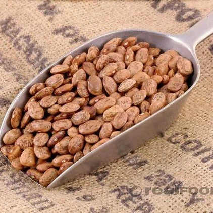 Excellent Pinto Beans