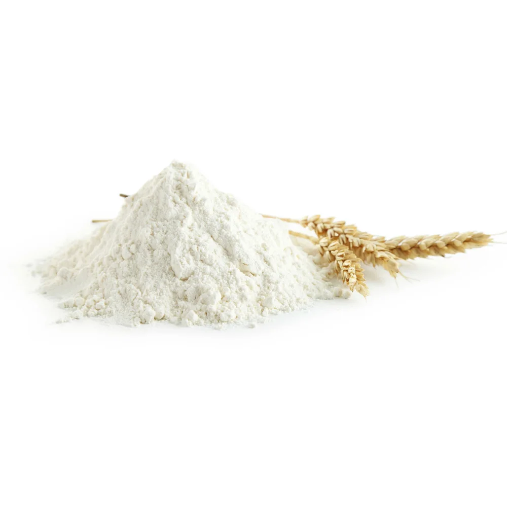 16 (1).png
