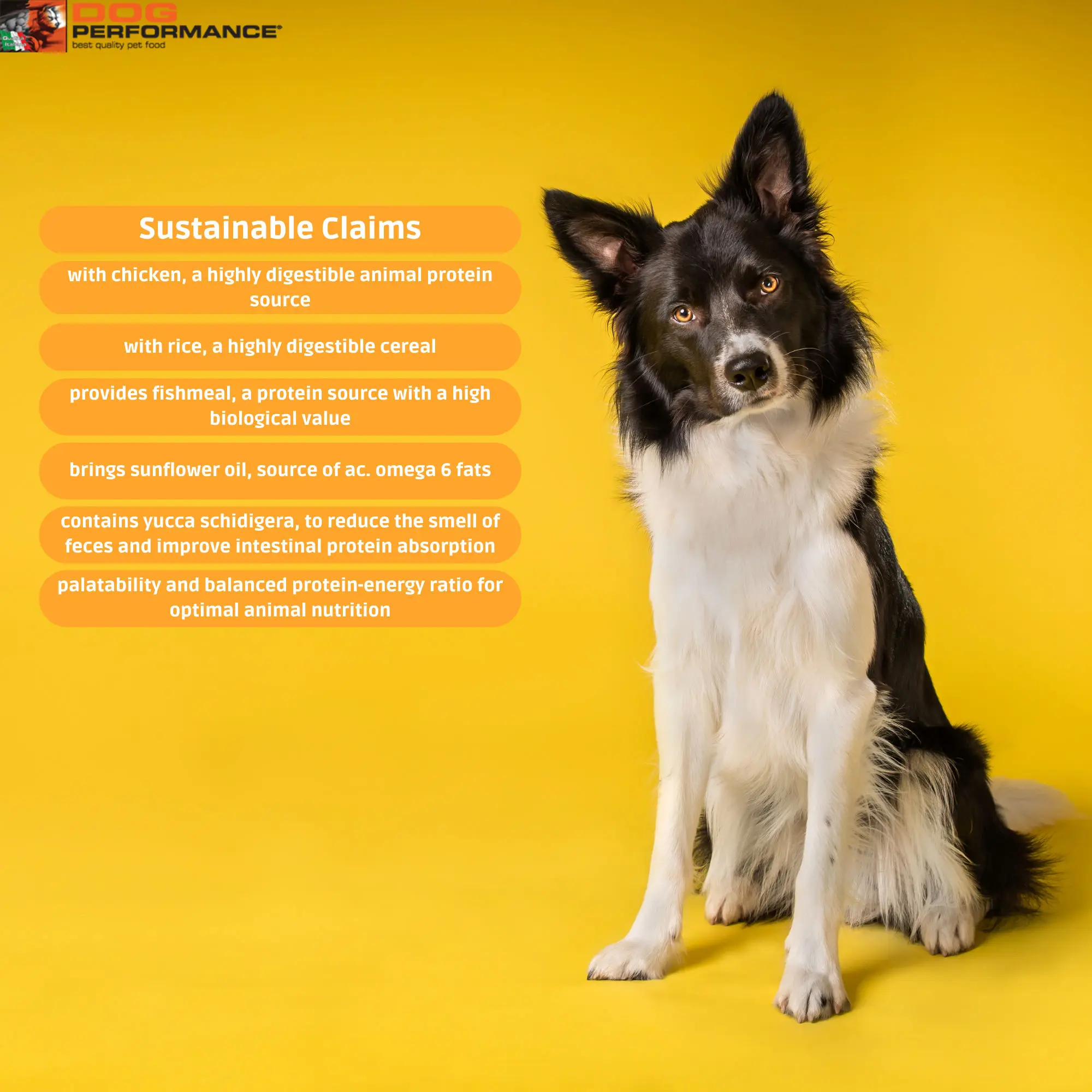 Optimal Nutrition Premium Chicken Rice Dry Food for Adults 15 kg Performance Meal for Daily Activities for Cats Packaged in Bag