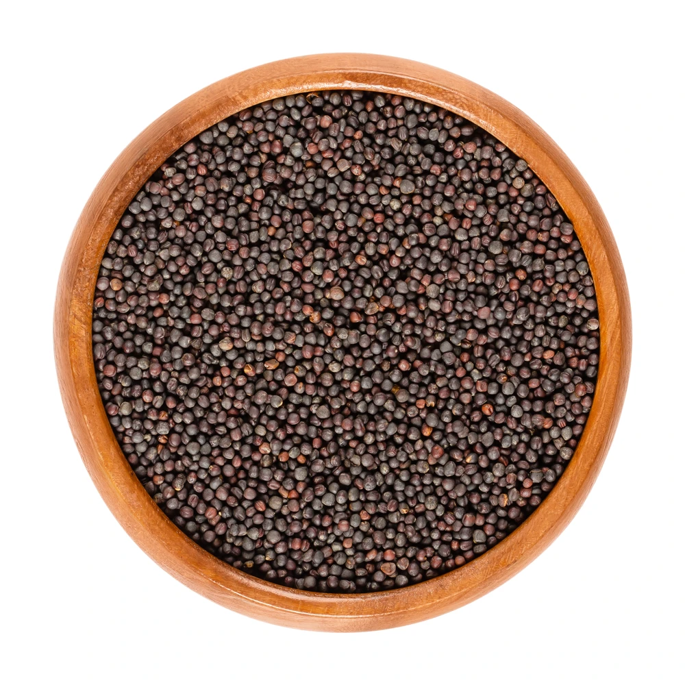 Factory Price Canola Seed & Rapeseed Rape Seeds Black Rapseeds