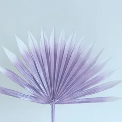 Primary Source Wholesale  Dried Flower Sun Plam Fan Leaves Sprayed color  Plant Material for Home Hotel Office Party Wedding Dec