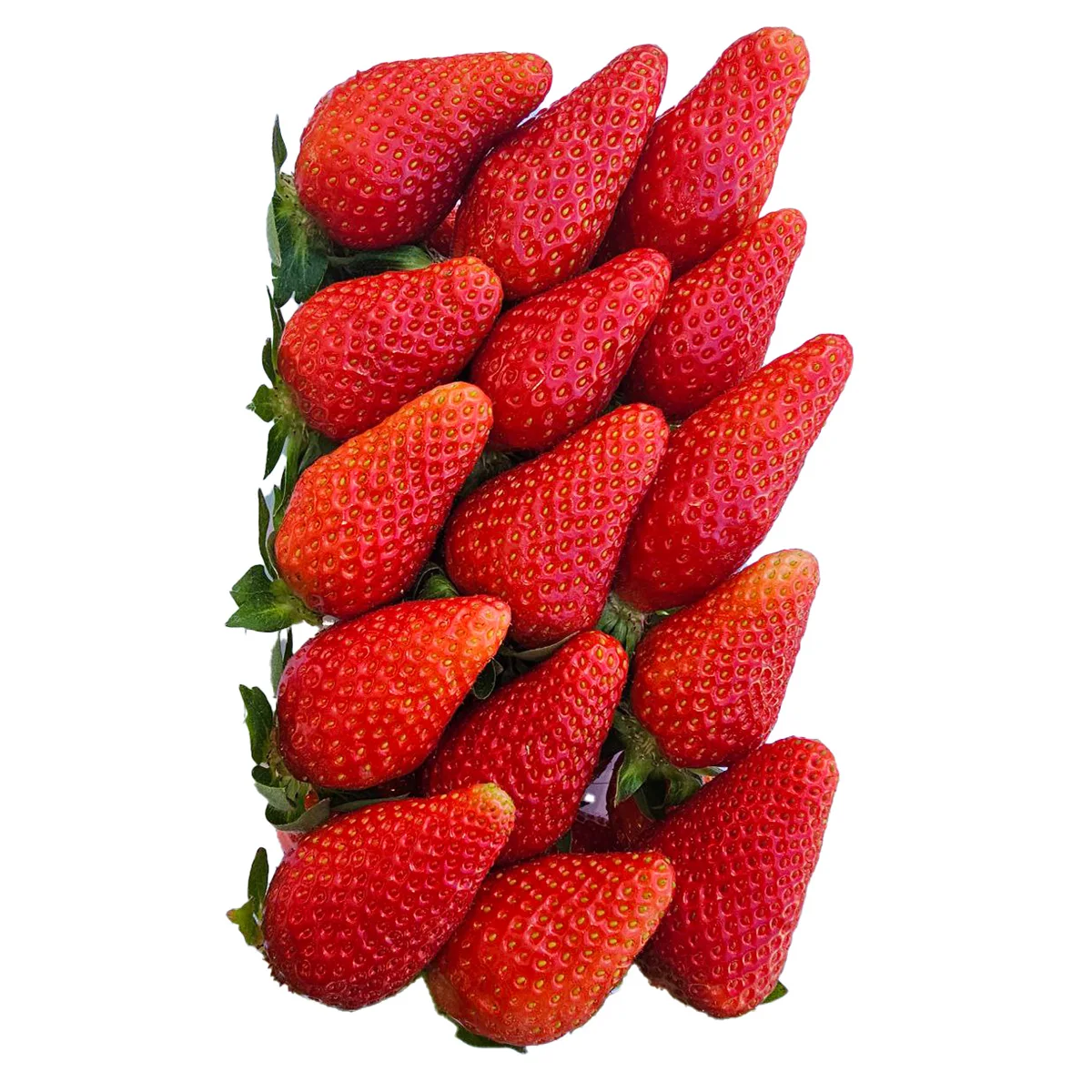 Sweet fresh strawberry natural product wholesale prices fresh strawberry for sale