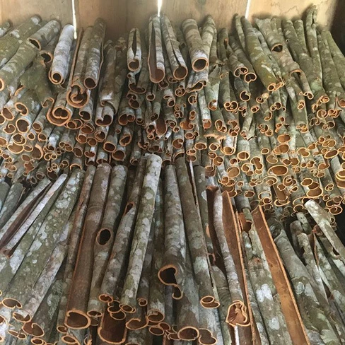 Whole Stick Cassia Cinnmon Long Tube Cassia Vietnam Premium Quality Tube Cinnamon Hot Selling Supplier Price Cinnamon Stick